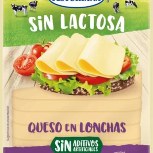 QUESO LONCHAS S/LACTOSA 120 GR ASTURI