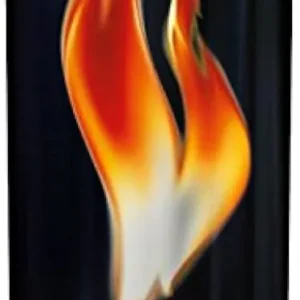 BURN LATA 250 CC C/24 BOTES