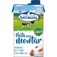 ASTURIANA NATA  MONTAR BRIK 500 CC