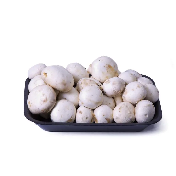 BUJANDA CHAMPIÑON BOTE ENTERO 355 GR.