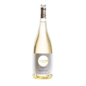 PAGO CAPELLANES GODELLO BLANCO 3/4